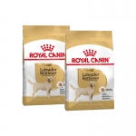 Royal Canin-Labrador Retriever Adulto (1)