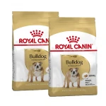 Royal Canin-Bulldog Inglés Adulto (1)