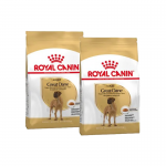 Royal Canin-Gran Danés Adulto (1)