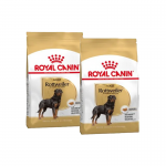 Royal Canin-Rottweiler Adulto (1)