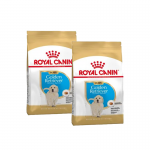 Royal Canin-Golden Retriever Cachorro (1)