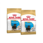 Rottweiler Cachorro (1)