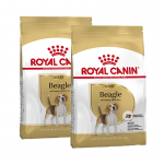 Royal Canin-Beagle Adulto (1)