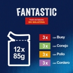 Felix Fantastic Caja Multipack Comida húmeda para Gatos en Gelatina Selección de Carnes