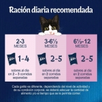 Felix Fantastic Junior Comida húmeda para Gatitos en Gelatina