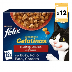Felix Sensations Caja Multipack Comida húmeda para Gatos en Gelatina Selección de Carnes