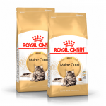 Royal Canin-Maine Coon Adult (1)