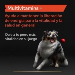ProPlan Multivitamins+ Suplemento Alimenticio Para Perros