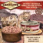 Carnilove-Kitten Salmón y Pavo Húmedo (1)