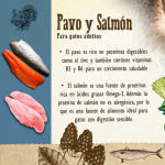 Carnilove-Pavo y Salmón Húmedo (1)