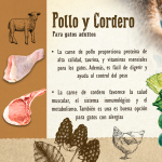 Carnilove Cat Adult sabor Pollo Cordero