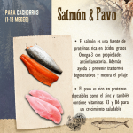 Carnilove-Puppy Salmón y Pavo (1)