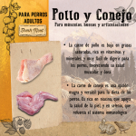 Adult Pollo y Conejo