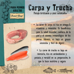 Adulto Carpa y Trucha