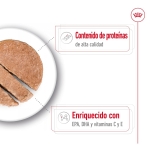 Royal Canin Medium Ageing Comida húmeda en Paté Para Perros Medianos +7 Años