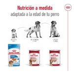 Royal Canin Medium Ageing Comida húmeda en Paté Para Perros Medianos +7 Años