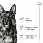 Royal Canin Maxi Adult Comida húmeda en Paté Para Perros Grandes