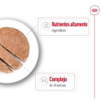 Royal Canin Mini Adult Comida húmeda en Paté Para Perros Pequeños