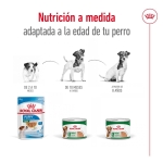 Royal Canin Mini Adult Comida húmeda en Paté Para Perros Pequeños