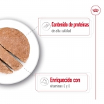 Royal Canin Medium Adult Comida húmeda en Paté Para Perros Medianos