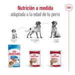 Royal Canin Medium Adult Comida húmeda en Paté Para Perros Medianos
