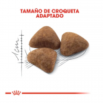 Royal Canin-Indoor 27 (1)