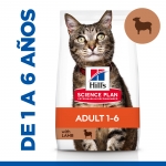 SP Feline Adult con Cordero. (6)