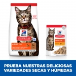SP Feline Adult con Cordero. (6)
