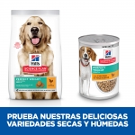 SP Adult Perfect Weight Razas Grandes (1)