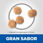 Hills-Adult Small & Miniature Sensitive Stomach & Skin (1)