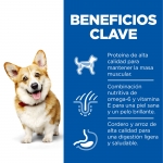 Hills Science Plan Adult Small & Mini pienso para perro sabor cordero