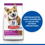 Hills Science Plan Adult Small & Mini pienso para perro sabor cordero
