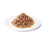 Comida Húmeda con Pavo para Gatitos Jóvenes Advance