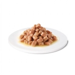 Comida Húmeda para Perros y Gatos en Recuperación Advance Veterinary Diets