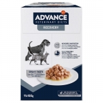 Comida Húmeda para Perros y Gatos en Recuperación Advance Veterinary Diets