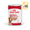 Royal Canin Medium Ageing Comida Húmeda en Paté para Perros Medianos Mayores de 7 Años