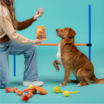 Edgard & Cooper Bites Bocaditos Grandes para Perros con Pollo