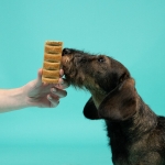Edgard & Cooper Bar Barritas de Manzana para Perros