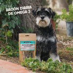Wild Balance Boquerones Deshidratados Snack para Perros