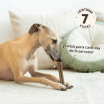 Wild Balance Stick Dental Ternera Snack para Perros