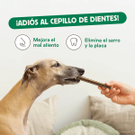 Wild Balance Stick Dental Ternera Snack para Perros