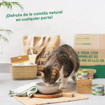 Wild Balance Ragout Tradicional Comida Húmeda Para Gatos con Ternera y Pollo