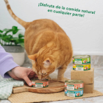 Wild Balance Guiso del Pescador Comida Húmeda Para Perros con Salmón y Cerdo