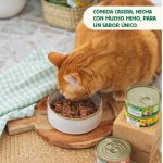 Wild Balance Guiso del Pescador Comida Húmeda Para Perros con Salmón y Cerdo
