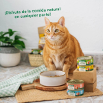 Wild Balance Cazuela de Pollo Comida Húmeda Para Perros con Pollo y Verduras