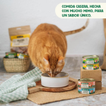 Wild Balance Cazuela de Pollo Comida Húmeda Para Perros con Pollo y Verduras