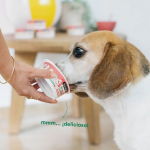 Wild Balance Ice Cream Yogur Helado Prebiotico para Perros y Gatos