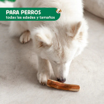 Wild Balance Madera de Olivo Snack Mordedor para Perros
