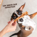 Wild Balance Caravaca de Cabra Snack para Perros