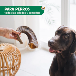 Wild Balance Cuerno de Cabra Salvaje Snack Mordedor para Perros